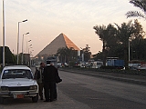Lupo Egitto 006
